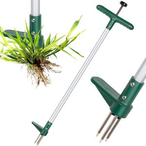 Weed puller with root